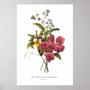 Affiches Pois doux et alto