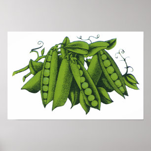 Affiches Pois mange-tout vintage, Aliments, Légumes sains
