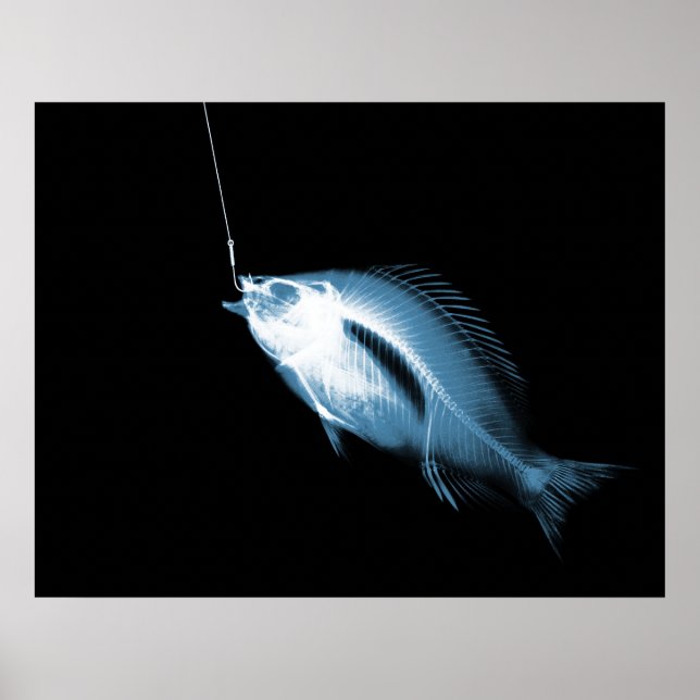 AFFICHES POISSON DE CHAMPIONNAT XRAY BLACK BLEU (Devant)