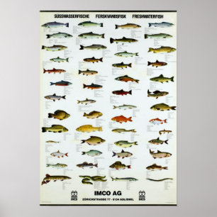 Affiches Poisson d'eau douce Repro Vintage. Imprimer