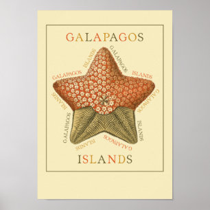 Affiches Poisson étoile des îles Galapagos