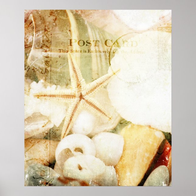 Affiches Poisson étoilée (Devant)