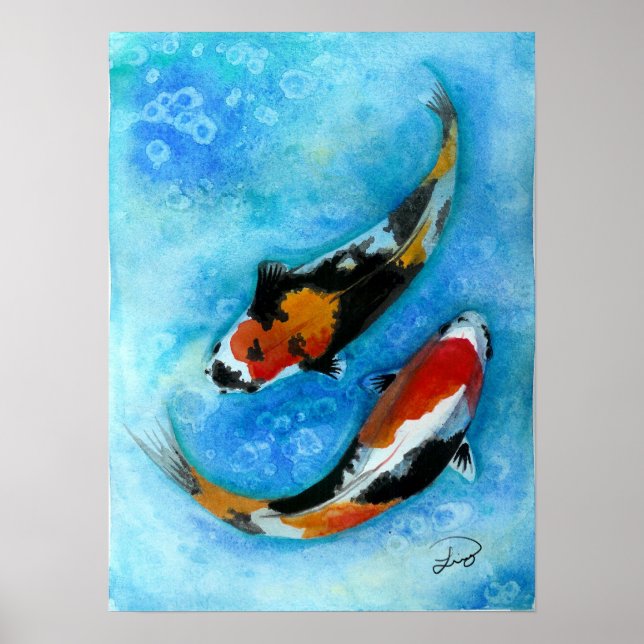 Affiches poisson koi (Devant)