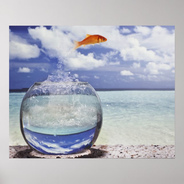 Affiches Poisson sautant de l'aquarium (Devant)