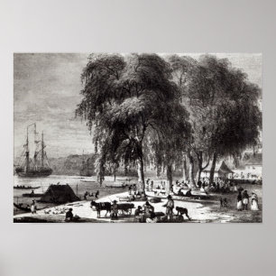 Affiches Poissonnerie, Paramribo