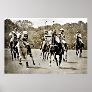 Affiches Polo Horses Galloping