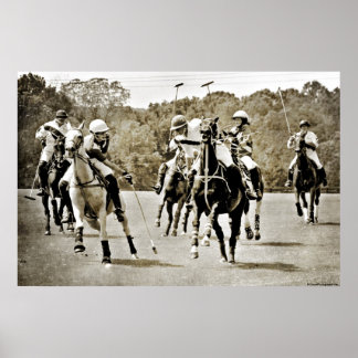 Affiches Polo Horses Galloping