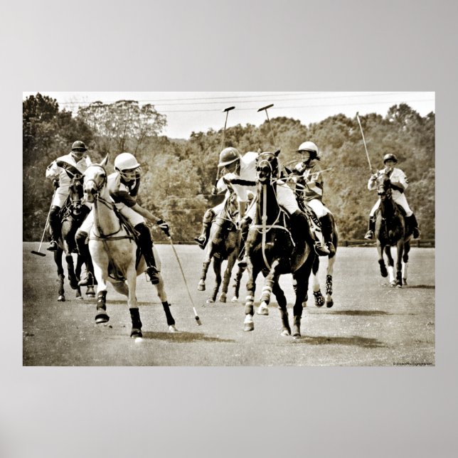 Affiches Polo Horses Galloping (Devant)