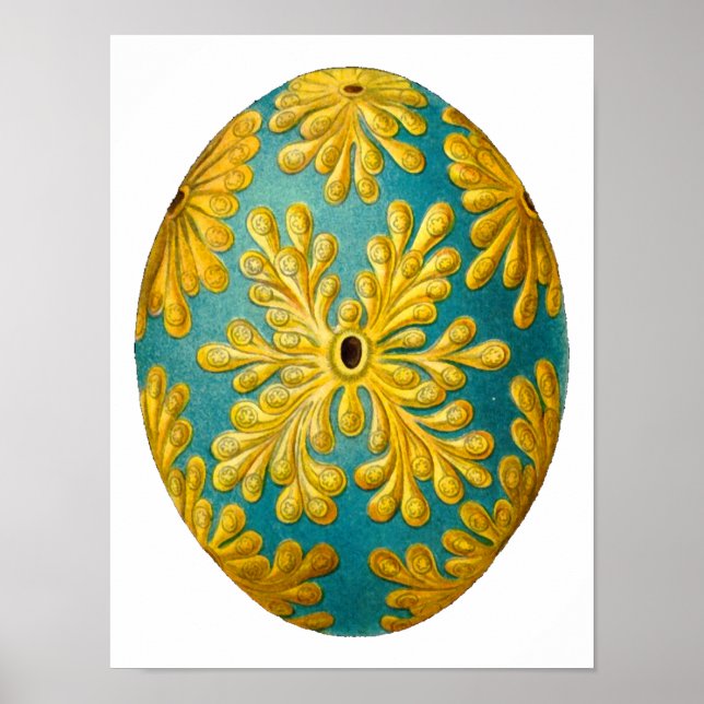 Affiches Polyclinum constellatum Ernst Haeckel Fine Art (Devant)