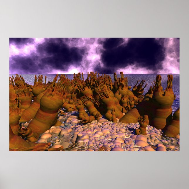 Affiches Polyp Shoal (Devant)