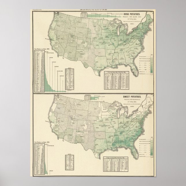 Affiches pommes de terre irlandaises et douces et foin (Devant)