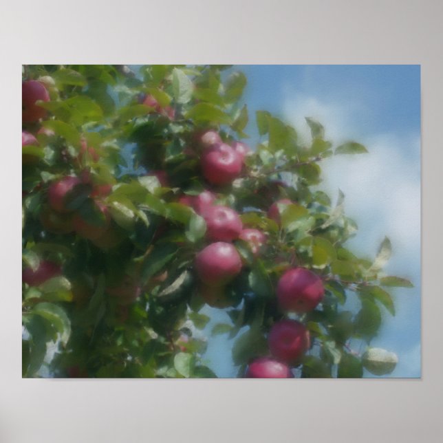 Affiches Pommes Rouges Sur La Peinture Photo D'Arbre (Devant)