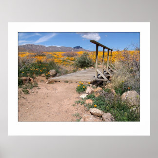 Affiches Pont à pied et pavois