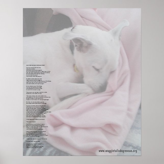 Affiches Pont arc-en-ciel du sauveteur (édité) (Devant)