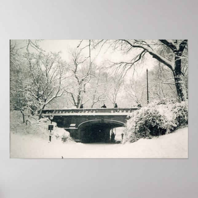 Affiches pont central du parc (Devant)