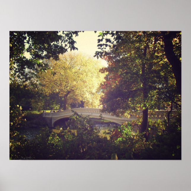 Affiches Pont De Bow encadré Par Des Arbres, Central Park,  (Devant)