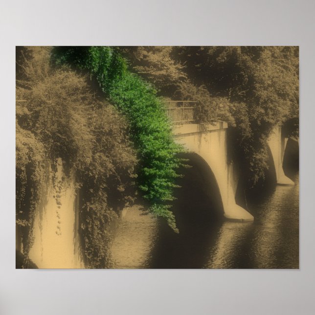 Affiches Pont De Fleurs Vintage Couleur Partielle (Devant)