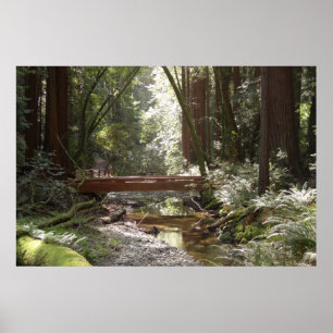 Affiches Pont de Muir Woods II