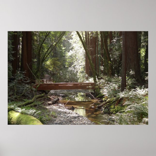 Affiches Pont de Muir Woods II (Devant)
