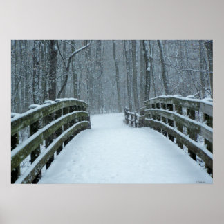 Affiches Pont d'hiver
