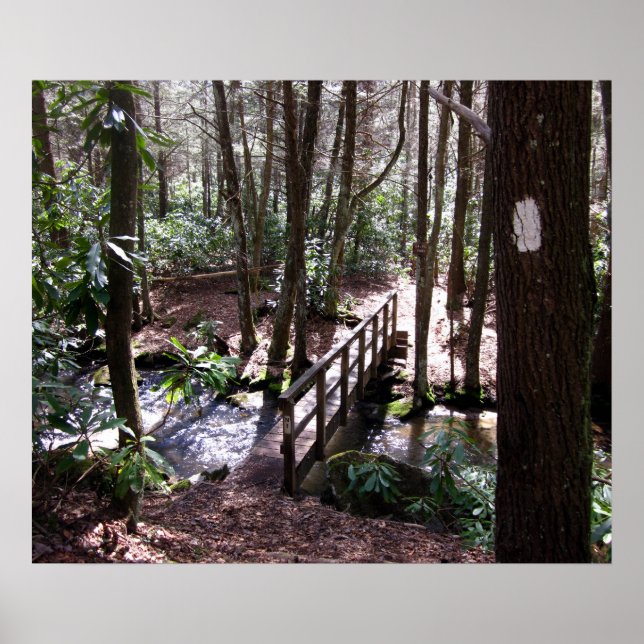 Affiches Pont du sentier Appalachian à Laurel Fork Tennesse (Devant)