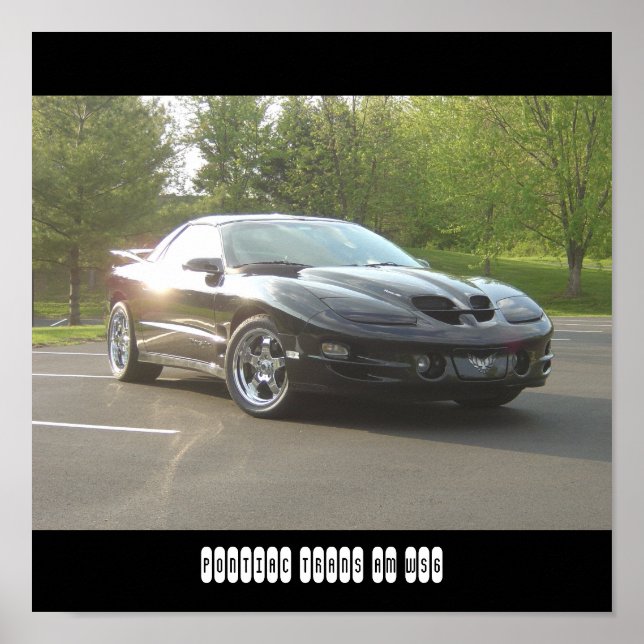 Affiches Pontiac Trans Am WS6 (Devant)