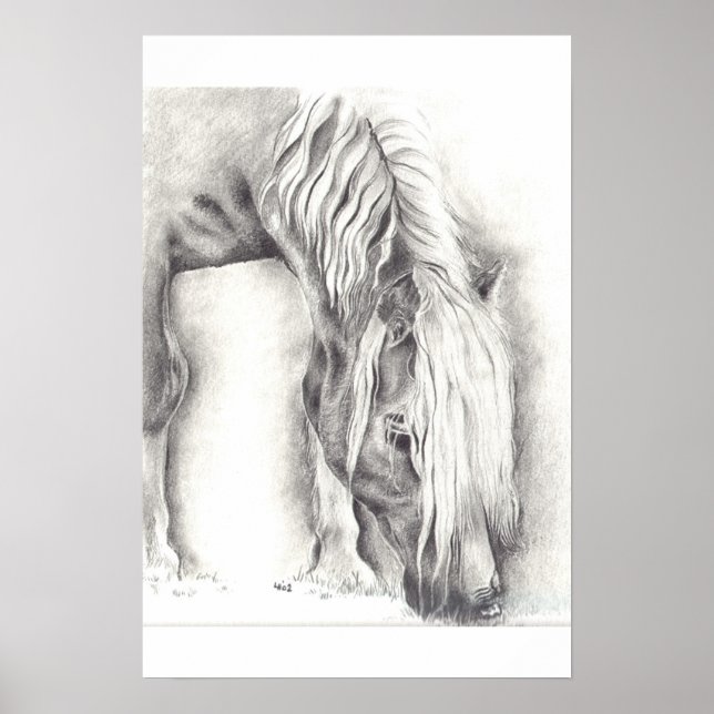 Affiches Pony (Devant)