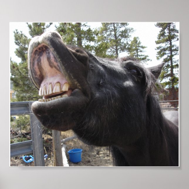 Affiches Pony Talk (Devant)