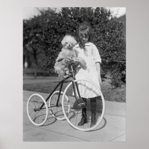 Affiches Poodle Perch, 1913