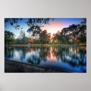 Affiches Pool Sycamore