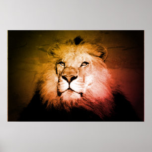 Affiches Pop Art Lion - Wild Animal Photography