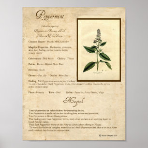 AFFICHES POPPERMINT MAGICK HERB