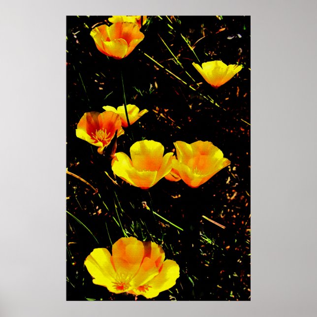 Affiches Poppies (Devant)