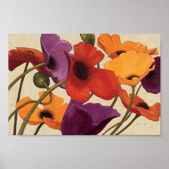Affiches Poppies de printemps (Devant)