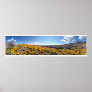 Affiches Poppies d'or mexicaines - Franklin Mountains