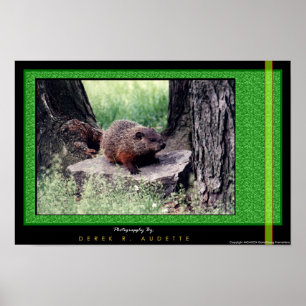 Affiches PorcTerrain 1