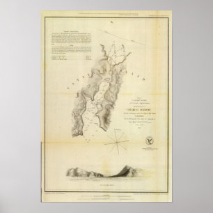 Affiches Port de Catalina