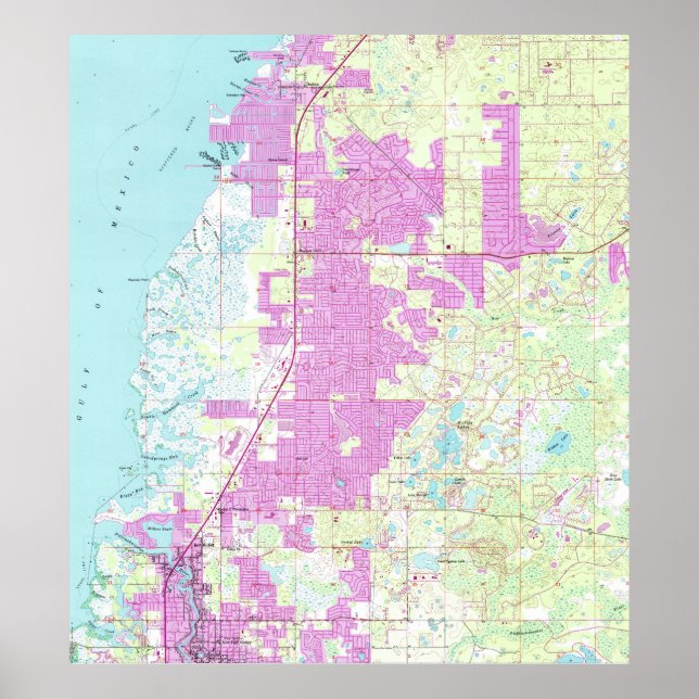 Affiches Port Richey & New Port Richey Florida Map (1954) (Devant)