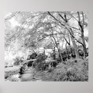 Affiches Porte rustique