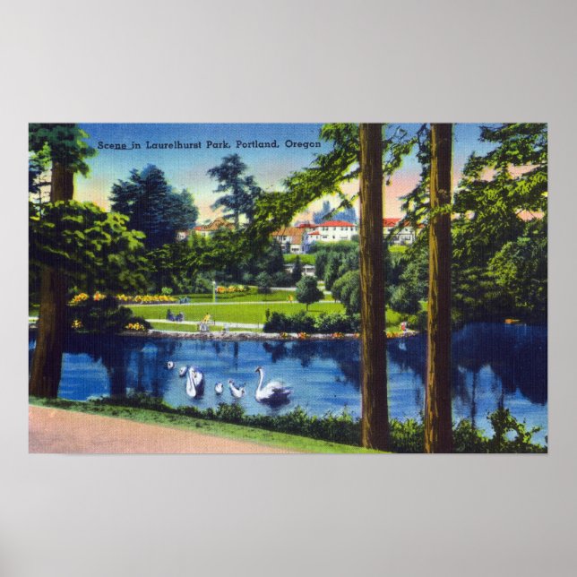 Affiches Portland, OregonLaurelhurst Park Scene (Devant)