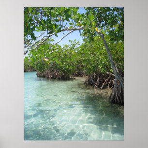 Affiches Porto Rico Photo