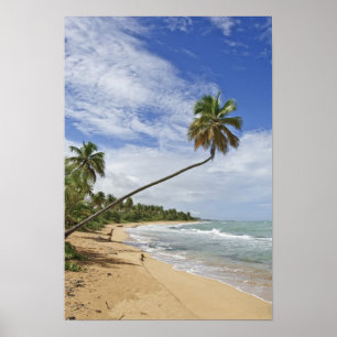 Affiches Porto Rico. Plage de Tres Palmitas Porto Rico