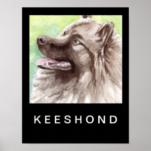 Affiches Portrait aquarelle de Keeshond