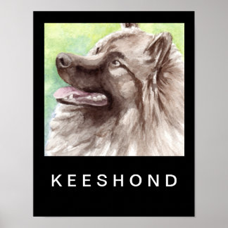 Affiches Portrait aquarelle de Keeshond