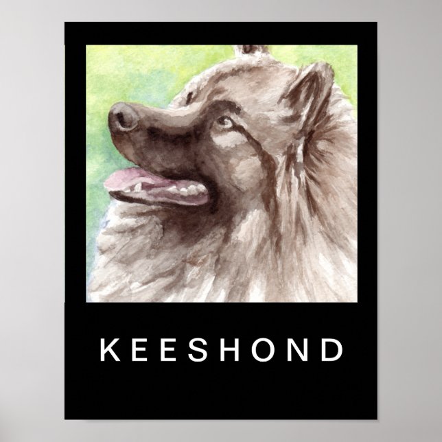 Affiches Portrait aquarelle de Keeshond (Devant)