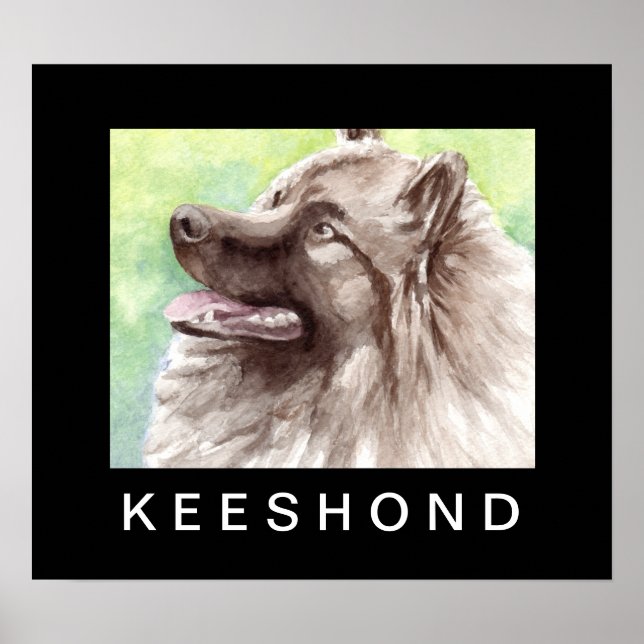 Affiches Portrait aquarelle de Keeshond (Devant)
