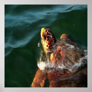 Affiches Portrait artistique de la tortue luge