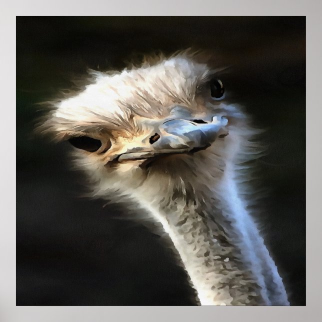 Affiches Portrait Artistique Ostrich Avec Expression Goofy (Devant)