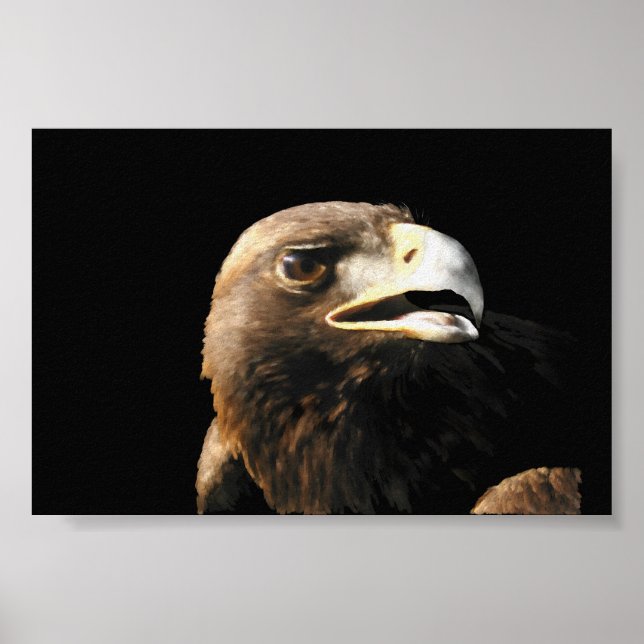 Affiches Portrait d'Aigle Royal (Devant)