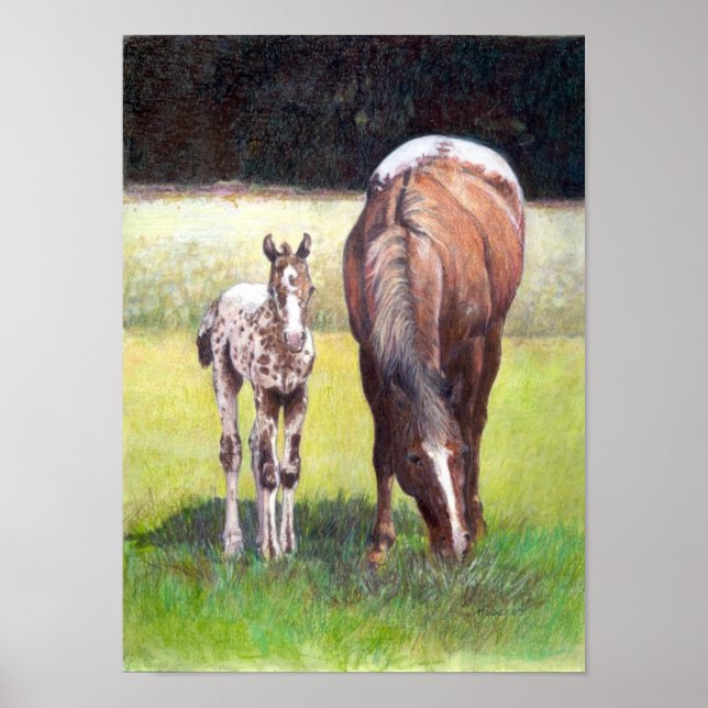 Affiches Portrait d'Appaloosa Mare et Foie (Devant)